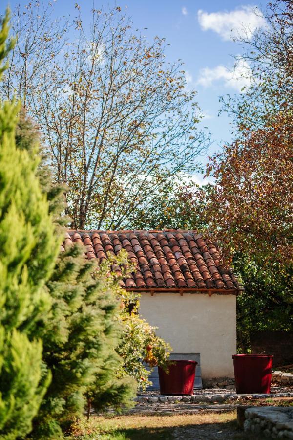 Casa Akacia Hotel Telavi Luaran gambar