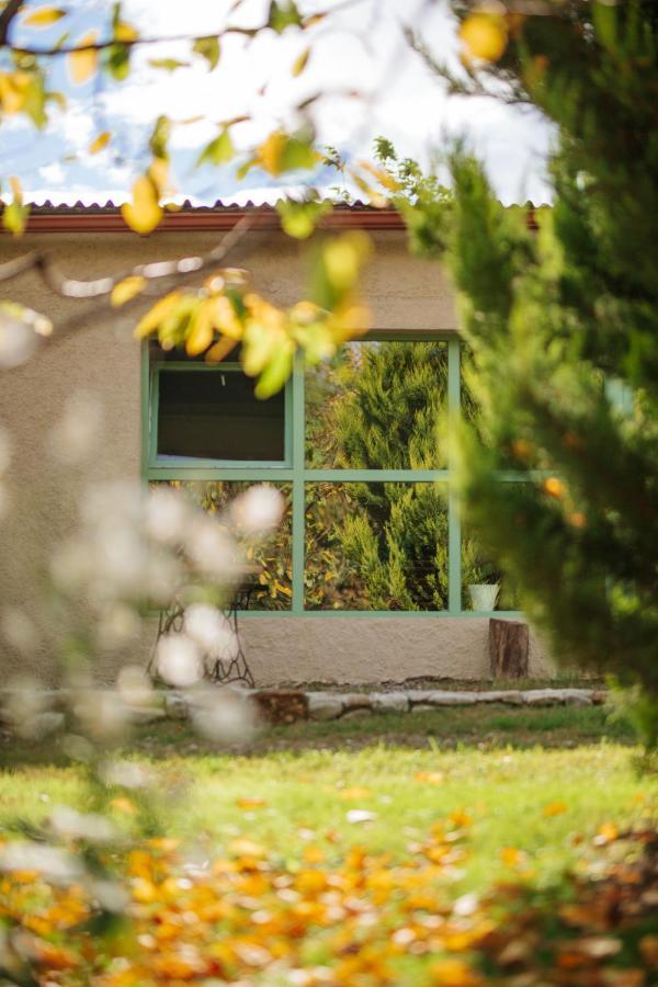 Casa Akacia Hotel Telavi Luaran gambar